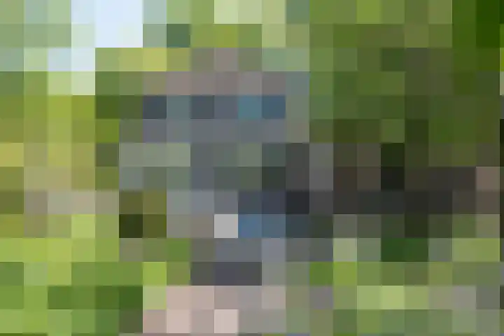 Hescheweg 95 Oss thumbnail 32