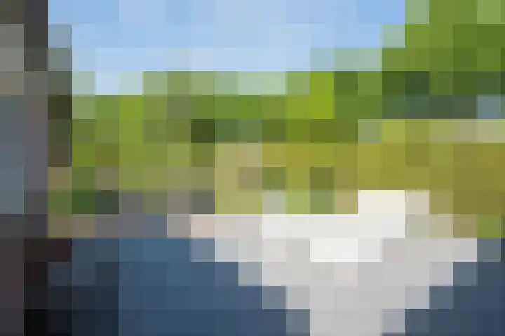 Hescheweg 95 Oss thumbnail 34