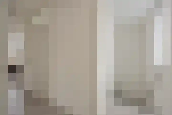 Hescheweg 95 Oss thumbnail 41