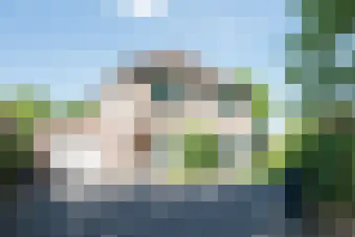 Hescheweg 95 Oss thumbnail 5
