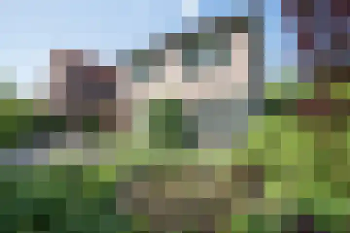 Hescheweg 95 Oss thumbnail 54
