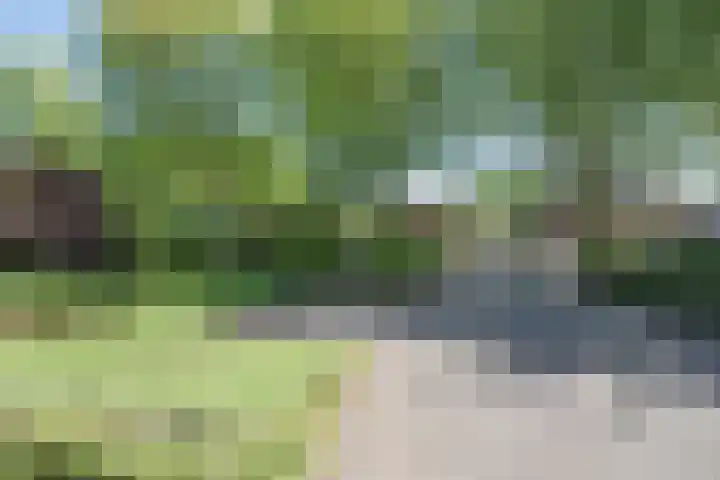Hescheweg 95 Oss thumbnail 6