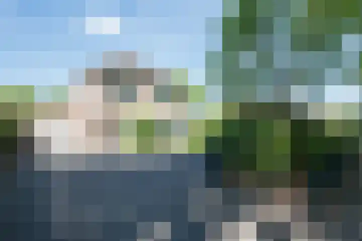 Hescheweg 95 Oss thumbnail 60