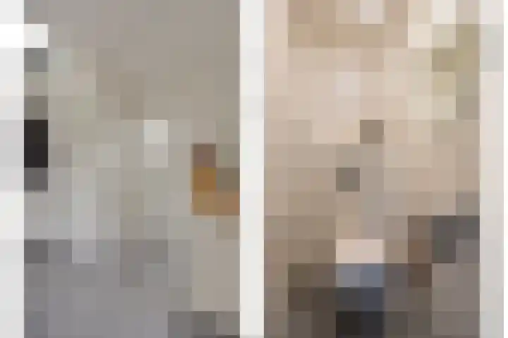 Hescheweg 95 Oss thumbnail 8