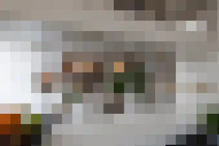Heslingahuis 17 Almelo thumbnail 10