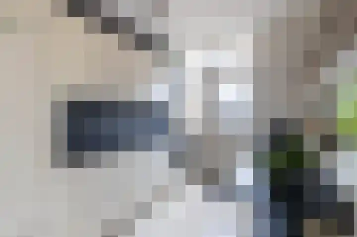 Heslingahuis 17 Almelo thumbnail 11
