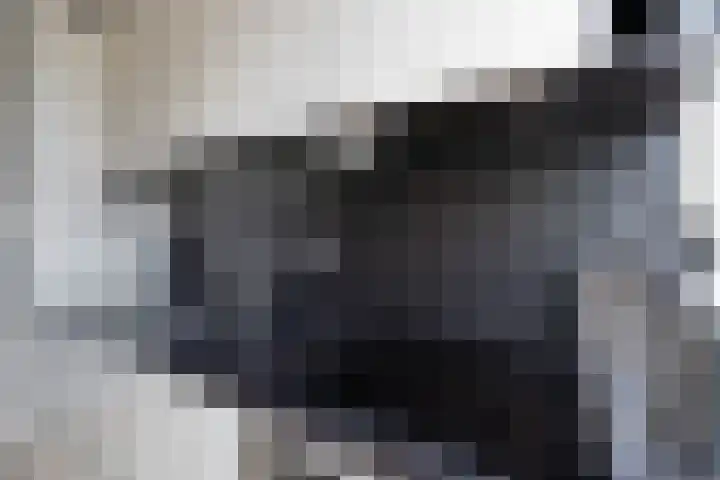 Heslingahuis 17 Almelo thumbnail 13