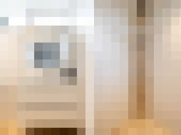 Heslingahuis 17 Almelo thumbnail 16