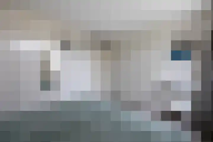 Heslingahuis 17 Almelo thumbnail 20