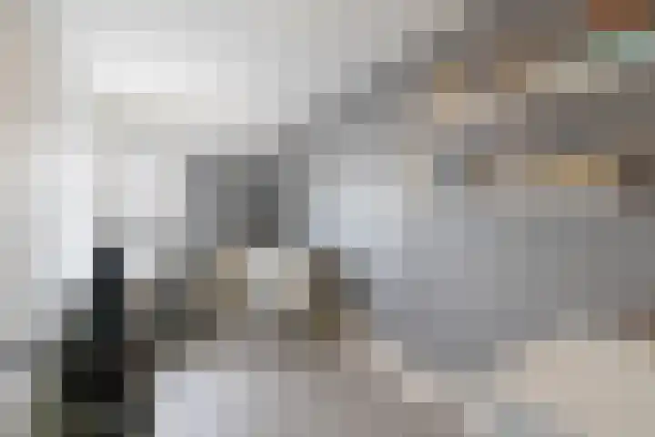 Heslingahuis 17 Almelo thumbnail 21