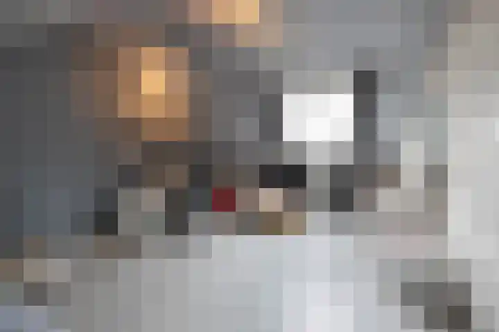Heslingahuis 17 Almelo thumbnail 22