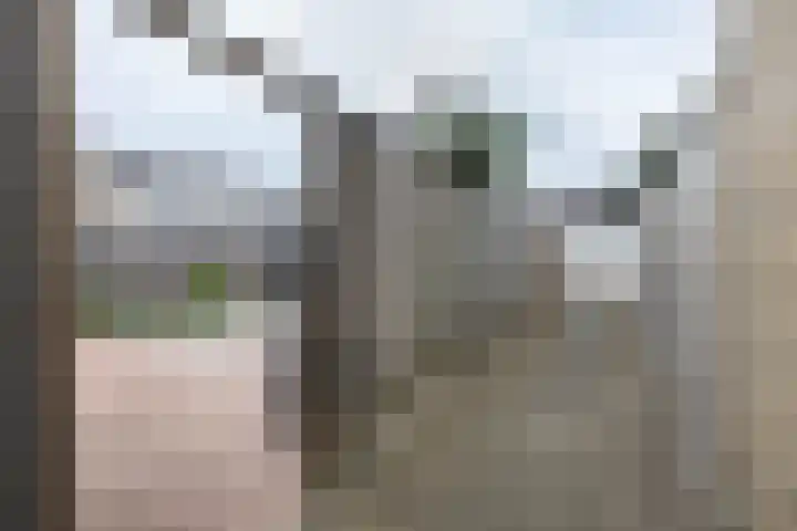 Heslingahuis 17 Almelo thumbnail 26