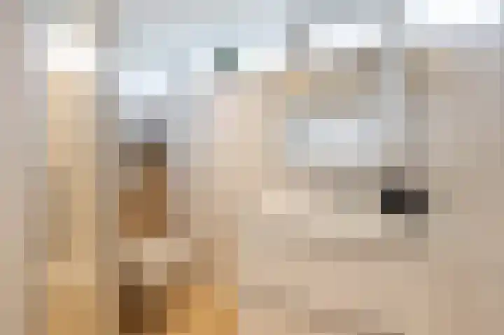 Heslingahuis 17 Almelo thumbnail 4