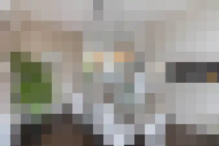Heslingahuis 17 Almelo thumbnail 9