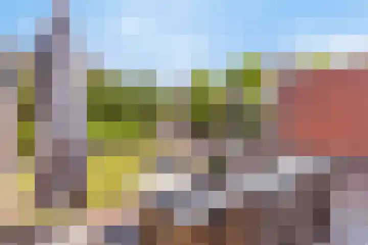 Hesselerbeek 43 Borne thumbnail 20