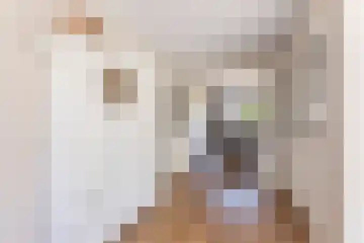 Hesselerbeek 43 Borne thumbnail 8