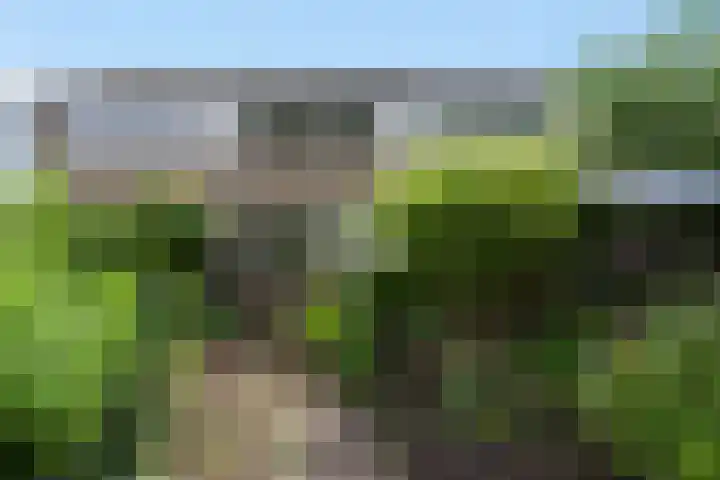 Hesselterbrink 250 Emmen thumbnail 22