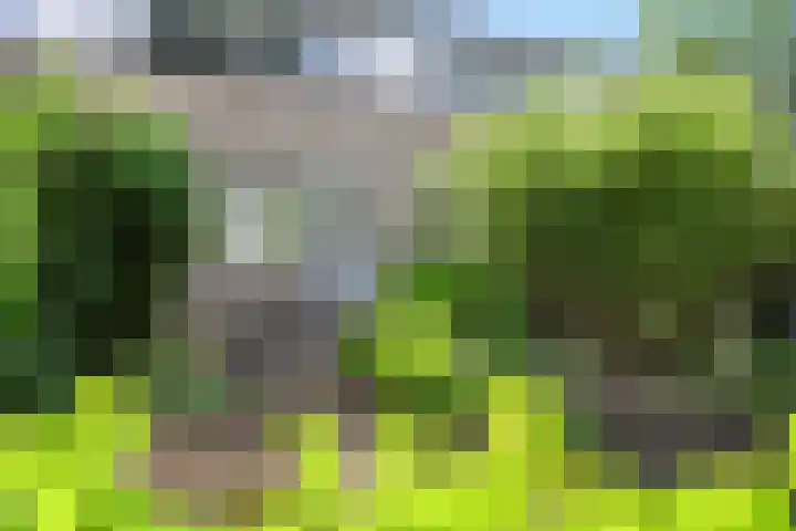 Hesselterbrink 250 Emmen thumbnail 23
