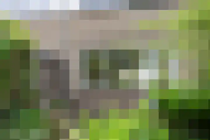 Hesselterbrink 250 Emmen thumbnail 24