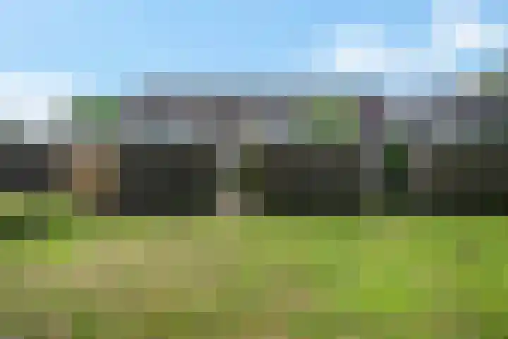 Hesselterbrink 250 Emmen thumbnail 26