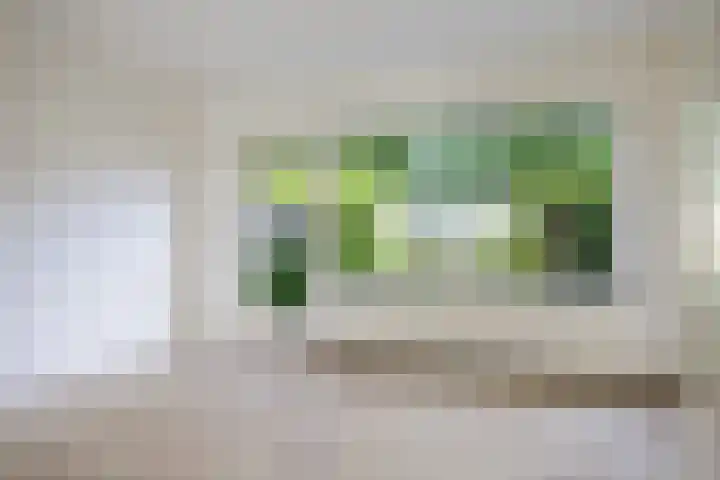 Hesselterbrink 250 Emmen thumbnail 7