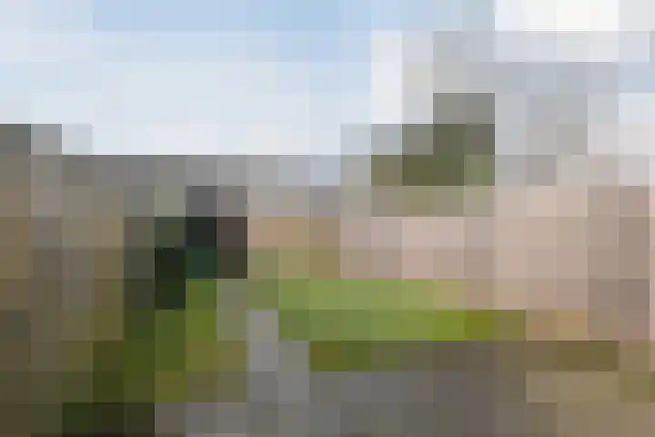 Hesselterbrink 576 Emmen thumbnail 22