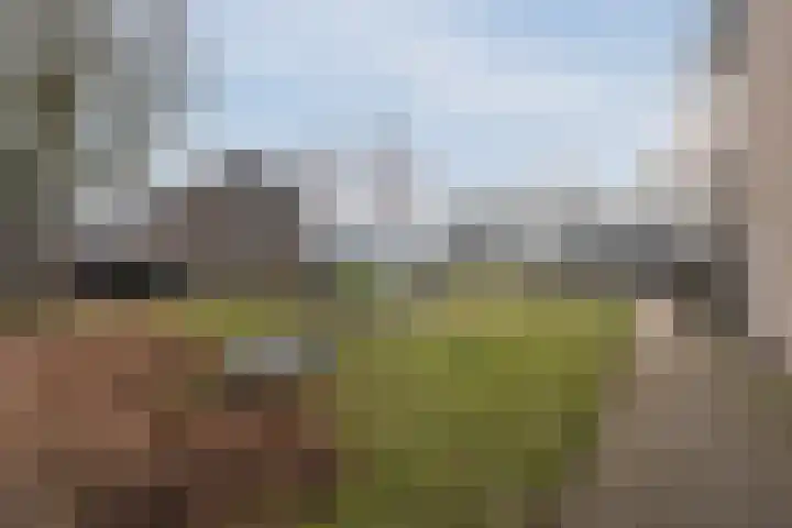 Hesselterbrink 576 Emmen thumbnail 32