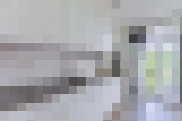 Hesselterbrink 80 Emmen thumbnail 35