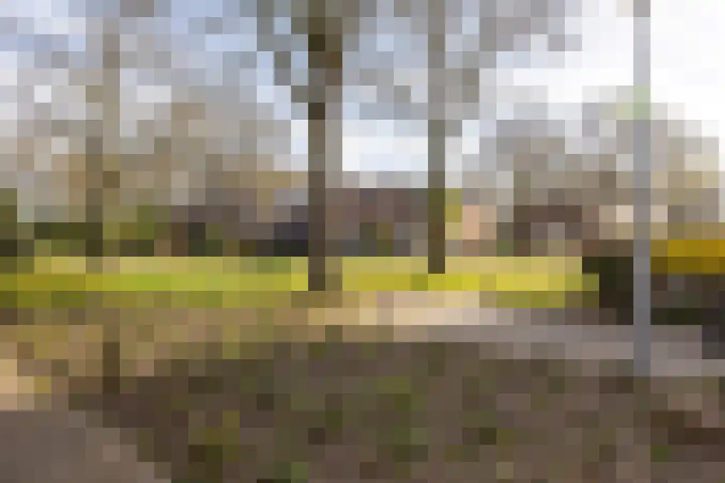 Hesselterbrink 80 Emmen thumbnail 44