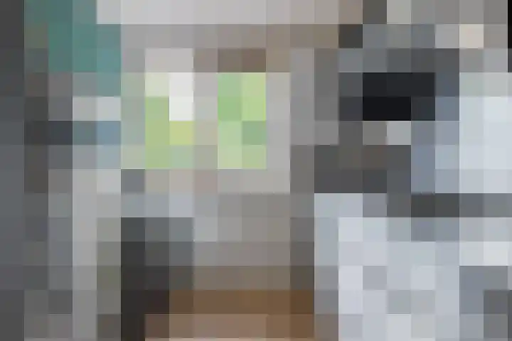 Hessen 1 Zevenaar thumbnail 11