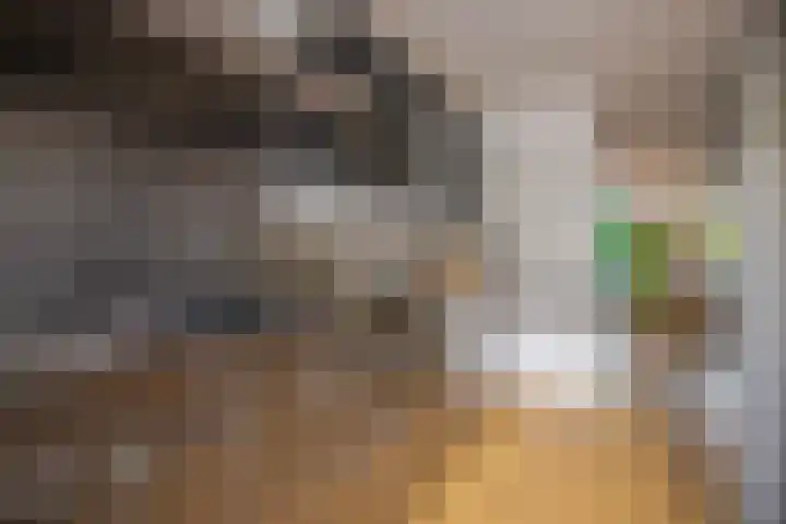 Hessen 1 Zevenaar thumbnail 12