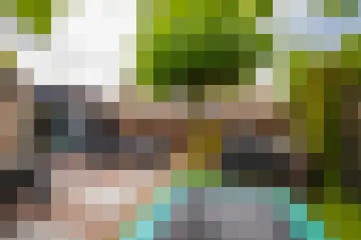 Hessen 1 Zevenaar thumbnail 22