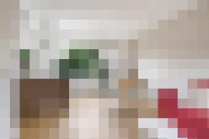 Hessenbergstraat 7 Zetten thumbnail 11