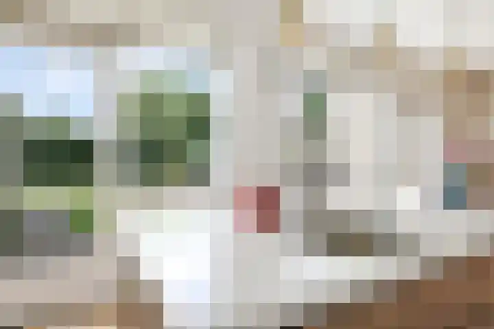 Hessenbergstraat 7 Zetten thumbnail 16