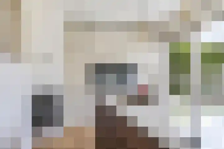Hessenbergstraat 7 Zetten thumbnail 17