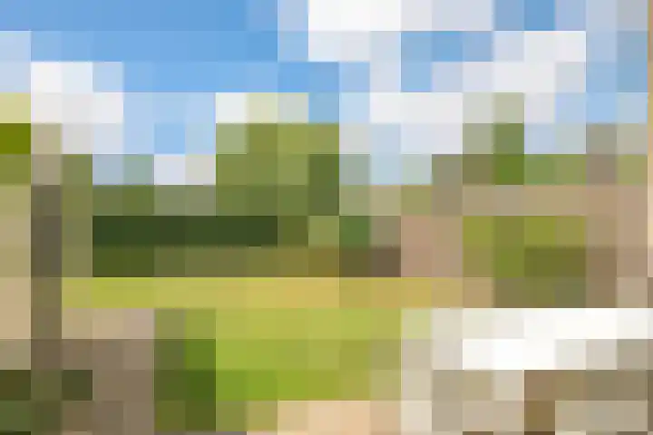 Hessenbergstraat 7 Zetten thumbnail 4