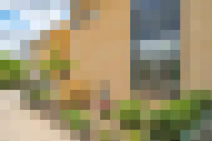 Hessenbergstraat 7 Zetten thumbnail 55