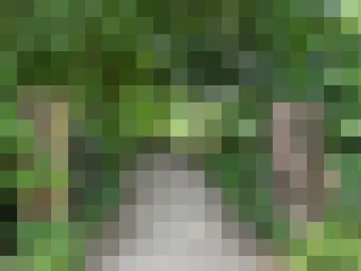 Hessenbergstraat 7 Zetten thumbnail 63