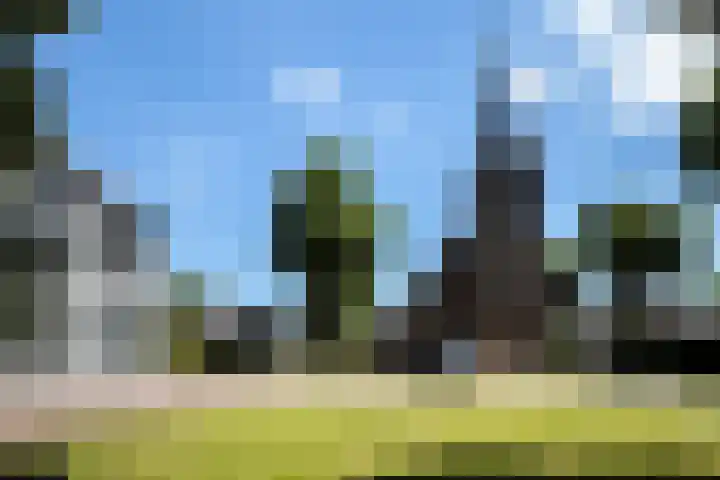 Hessenbergstraat 7 Zetten thumbnail 64