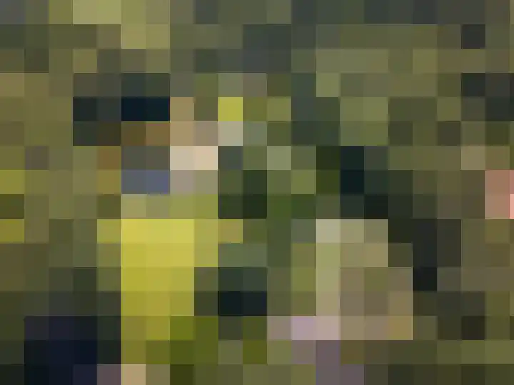 Hessenbergstraat 7 Zetten thumbnail 67