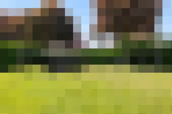 Hessenweg 14 Hattem thumbnail 34