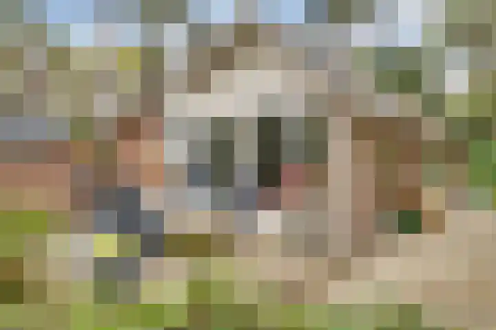 Hessenweg 149 Dalfsen thumbnail 20