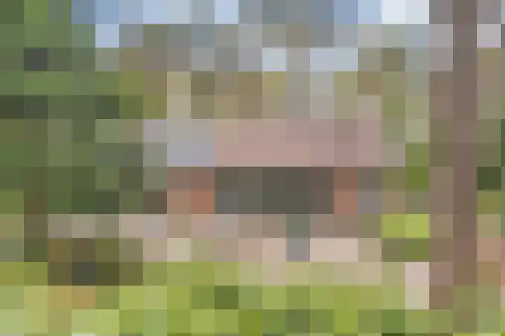 Hessenweg 149 Dalfsen thumbnail 23