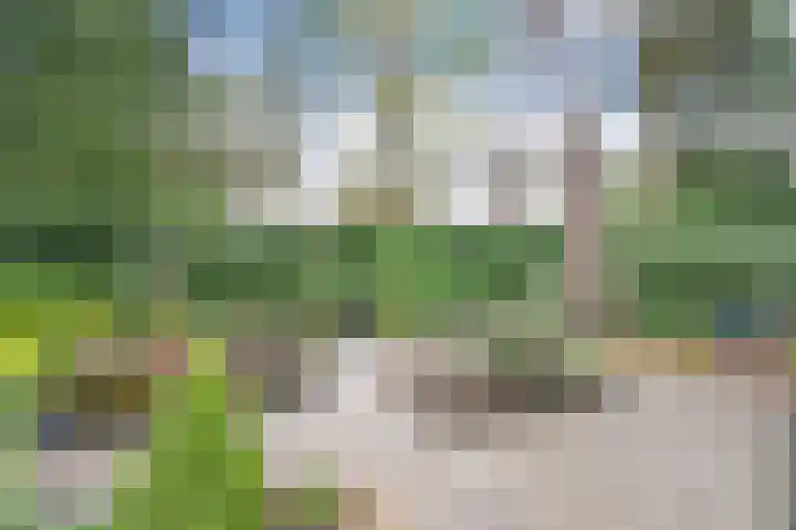 Hessenweg 149 Dalfsen thumbnail 25