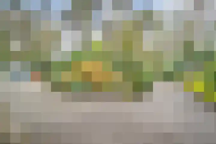 Hessenweg 149 Dalfsen thumbnail 28
