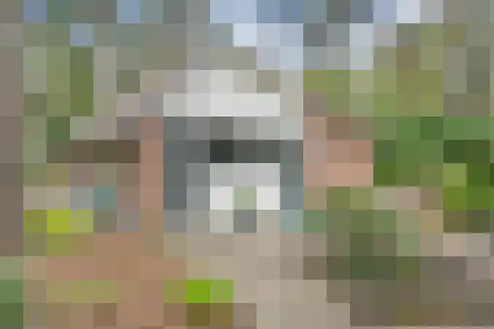Hessenweg 149 Dalfsen thumbnail 31
