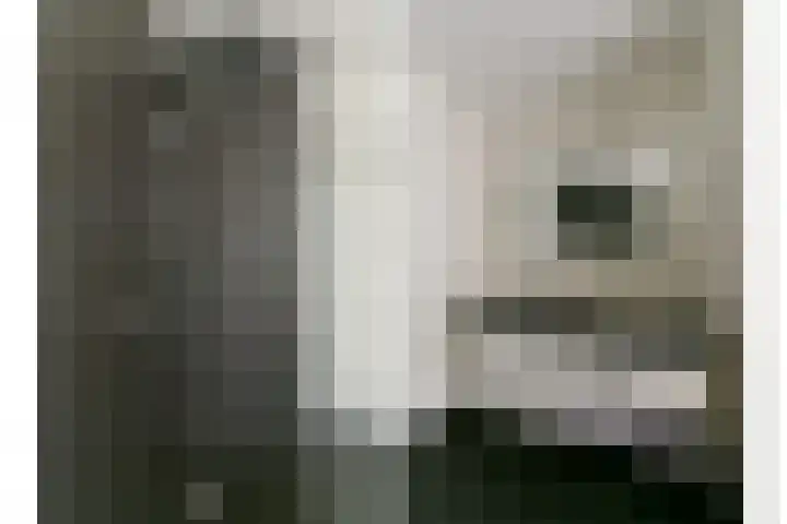 Hessenweg 165 E De Bilt thumbnail 20