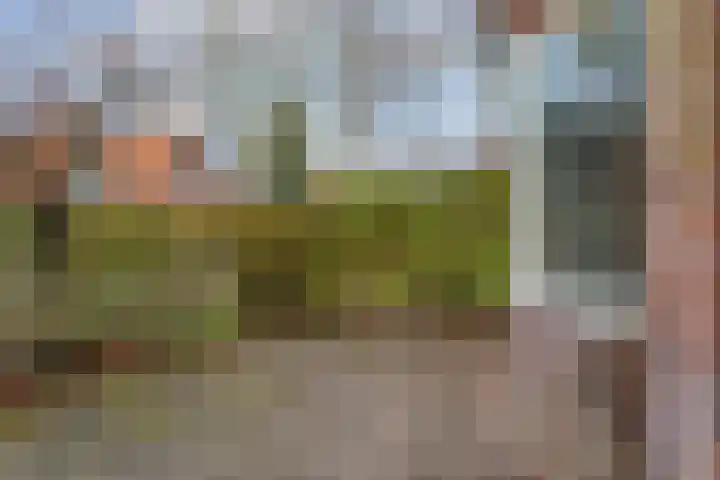 Hessenweg 228 De Bilt thumbnail 16