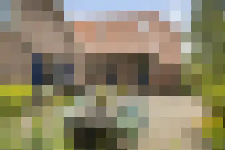 Het Aamschot 5 Haarlo thumbnail 10