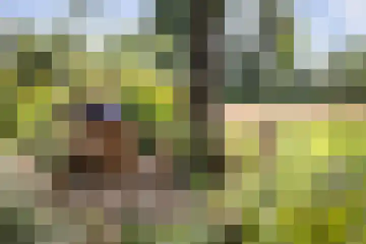 Het Aamschot 5 Haarlo thumbnail 11